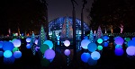 botanical garden christmas lights blue on ground