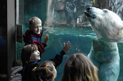 kids next to polar bear