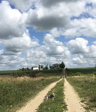 Fields of Iowa