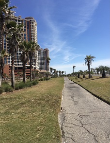 Pensacola Path