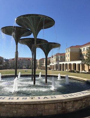 Frog Fountain TCU