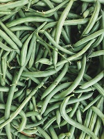 many fresh greenbeans